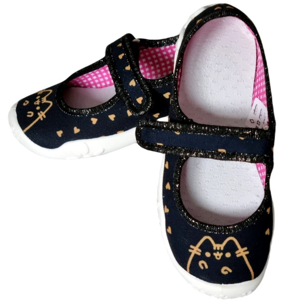 422 kotek jak Pusheen.jpg